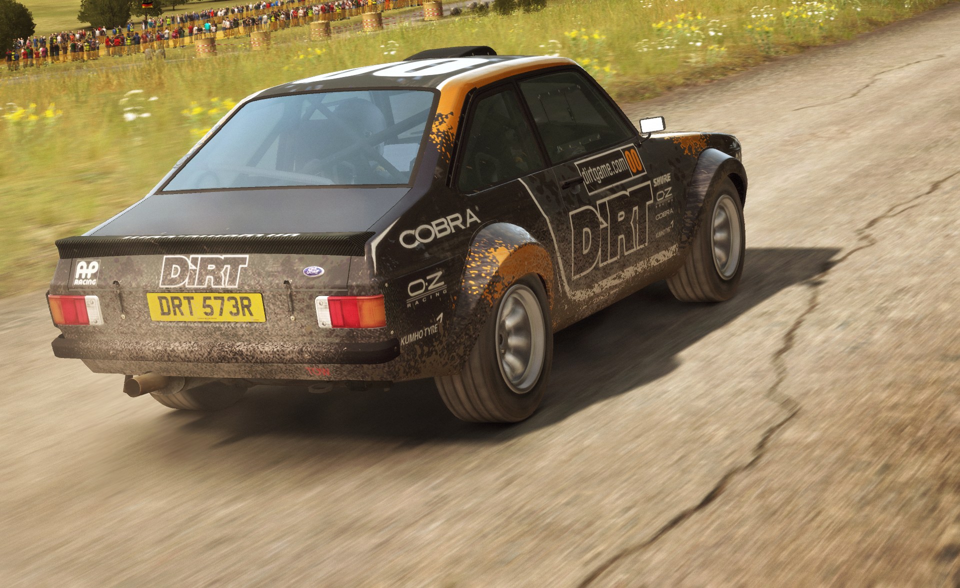 DiRT Rally - Imagen 50